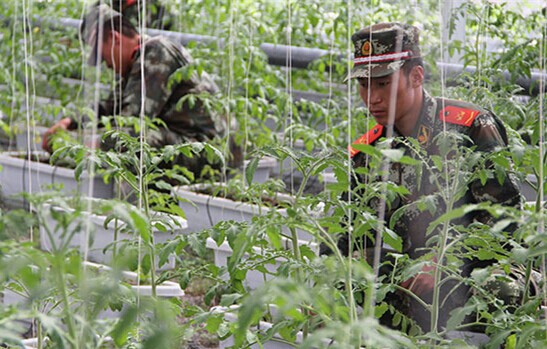 Z׃F(xin)(sh)ԭٱ